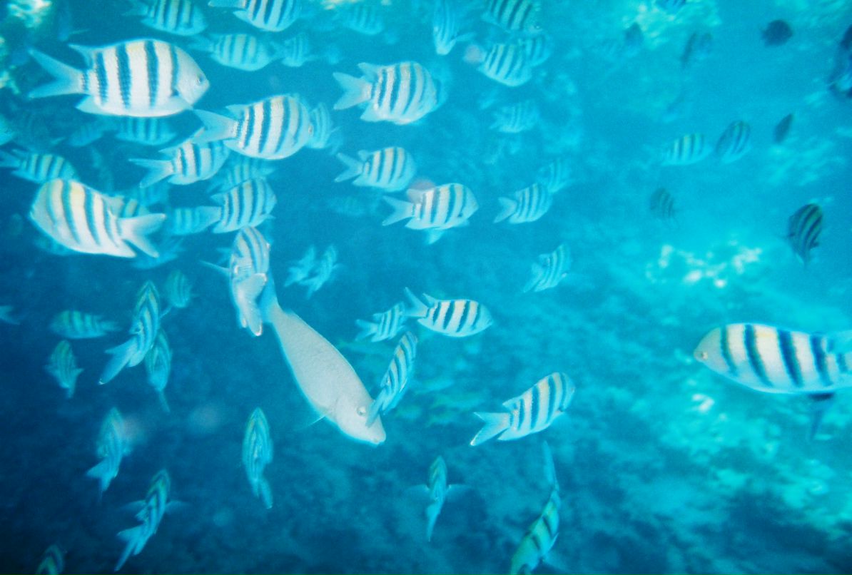 Александр Кадыкеев фотография #47