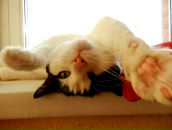 Фотография Батулиной Юлии