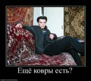 Фотография Шаповал Яны