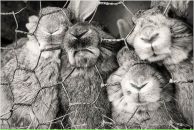 Фотография Гусевой Евгении