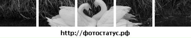 Іра Сидоренко фотография #9 (источник - https://vk.com/id31306493)