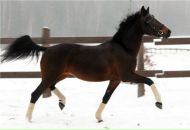 Фотография Воронцовой Ирины