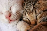 Фотография Смирновой Екатерины