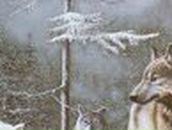 Петро Ліневич фотография #32 (источник - https://vk.com/id96289552)