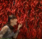 Фотография Хадарцевой Залины