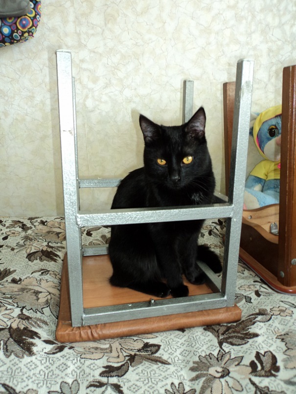 K@s!!!*** Офигенный фотография #20