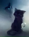 Іра Данильчук фотография #32 (источник - https://vk.com/id11106127)