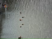 Василь Юзьків фотография #44 (источник - https://vk.com/id92462626)