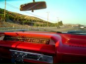 Фотография Шигаевой Анастасии