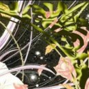 Софія Скалоцька фотография #19 (источник - https://vk.com/id122364925)