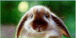 Фотография Ткачук Оленьки