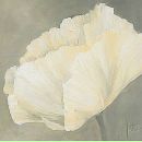 Фотография Еранцевой Даши