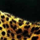 Ігор Шутурма фотография #15 (источник - https://vk.com/id122805674)