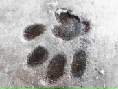 Фотография Arzina Натальи