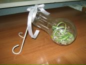 Фотография Ильиной Илоны