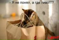 Олексій Шевченко фотография #25 (источник - https://vk.com/id77175182)