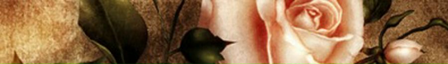 Діма Петров фотография #33 (источник - https://vk.com/id76484046)