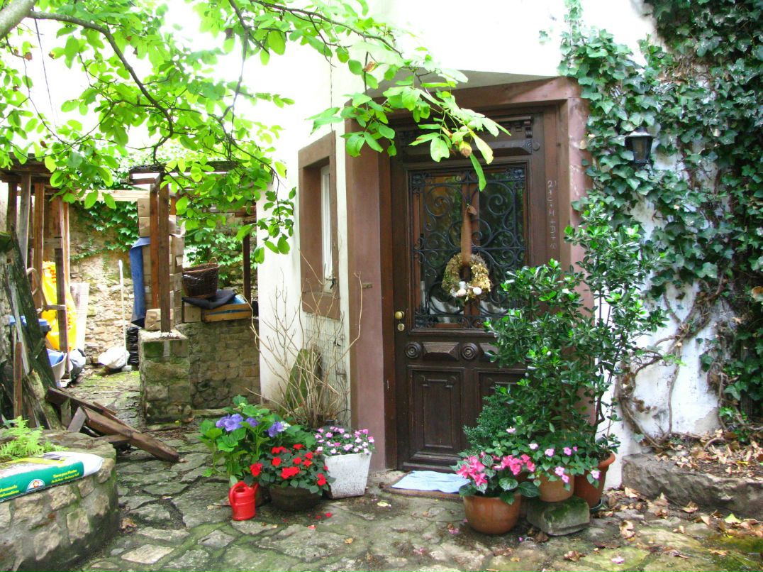 Вера Борисова фотография #37