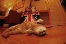 Нікуся Петрюк фотография #47 (источник - https://vk.com/id141251020)