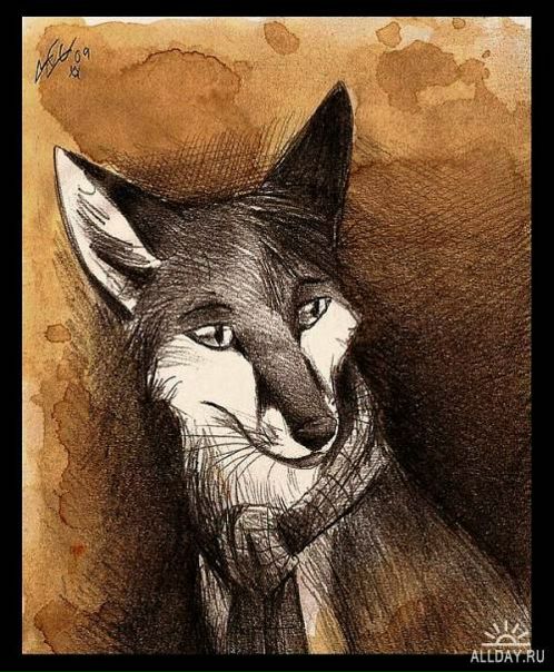 №11, Даниил Лисичников №11, Даниил Лисичников