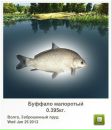 Євген Ковальчук фотография #36 (источник - https://vk.com/id151466630)