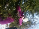 Юлюсік Мельник фотография #41 (источник - https://vk.com/id142312745)