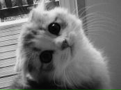 Фотография Щетининой Екатерины