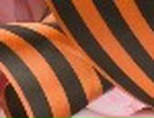 Елена Лебедева фотография #39 (источник - https://vk.com/id78795101)