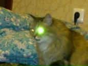 Фотография Шакирова Айрата