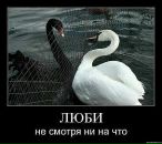 Фотография Медведевой Татьяны