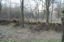 Вітьок Степанишен фотография #20 (источник - https://vk.com/id53639519)