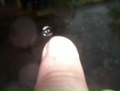 Фотография Моисеева Владислава