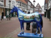 Фотография Крутиловой Марины