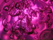 Надія Пилипенко фотография #22 (источник - https://vk.com/id12639068)