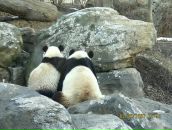 Фотография Демиденко Вероники