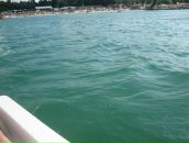 Іван Вельган фотография #19 (источник - https://vk.com/id27480108)