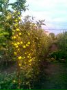 Ігор Поляков фотография #23 (источник - https://vk.com/id56151344)