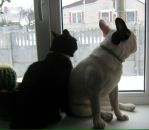 Фотография Apatova Margarita