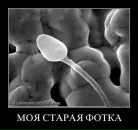 Фотография Картавого Паши