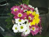 Анна Иванова фотография #24 (источник - https://vk.com/id1762974)