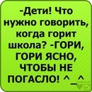 Віталік Наконечний фотография #23 (источник - https://vk.com/id155546436)