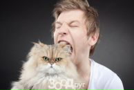 Іра Сонсядик фотография #42 (источник - https://vk.com/id54492217)