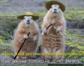 Сергій Бурма фотография #35 (источник - https://vk.com/id2438917)