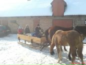 Надія Годісь фотография #16 (источник - https://vk.com/id15953112)