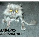 Вова Гій фотография #26 (источник - https://vk.com/id138099726)