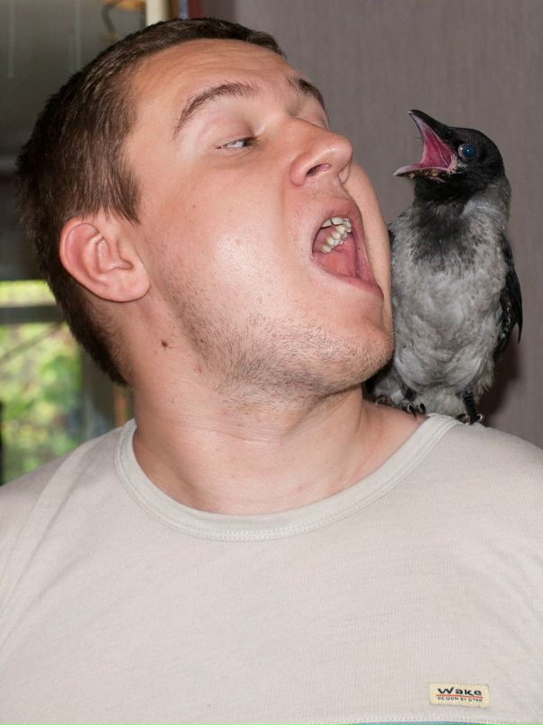 Дмитрий Жмакин фотография #15