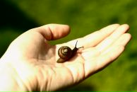 Фотография Эпштейн Дарьи