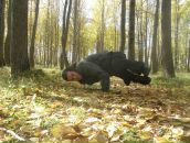 Фотография Котенёва Дениса