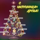 Фотография Васильевой Антонины