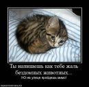 Чорна Депресія фотография #23 (источник - https://vk.com/id22016876)